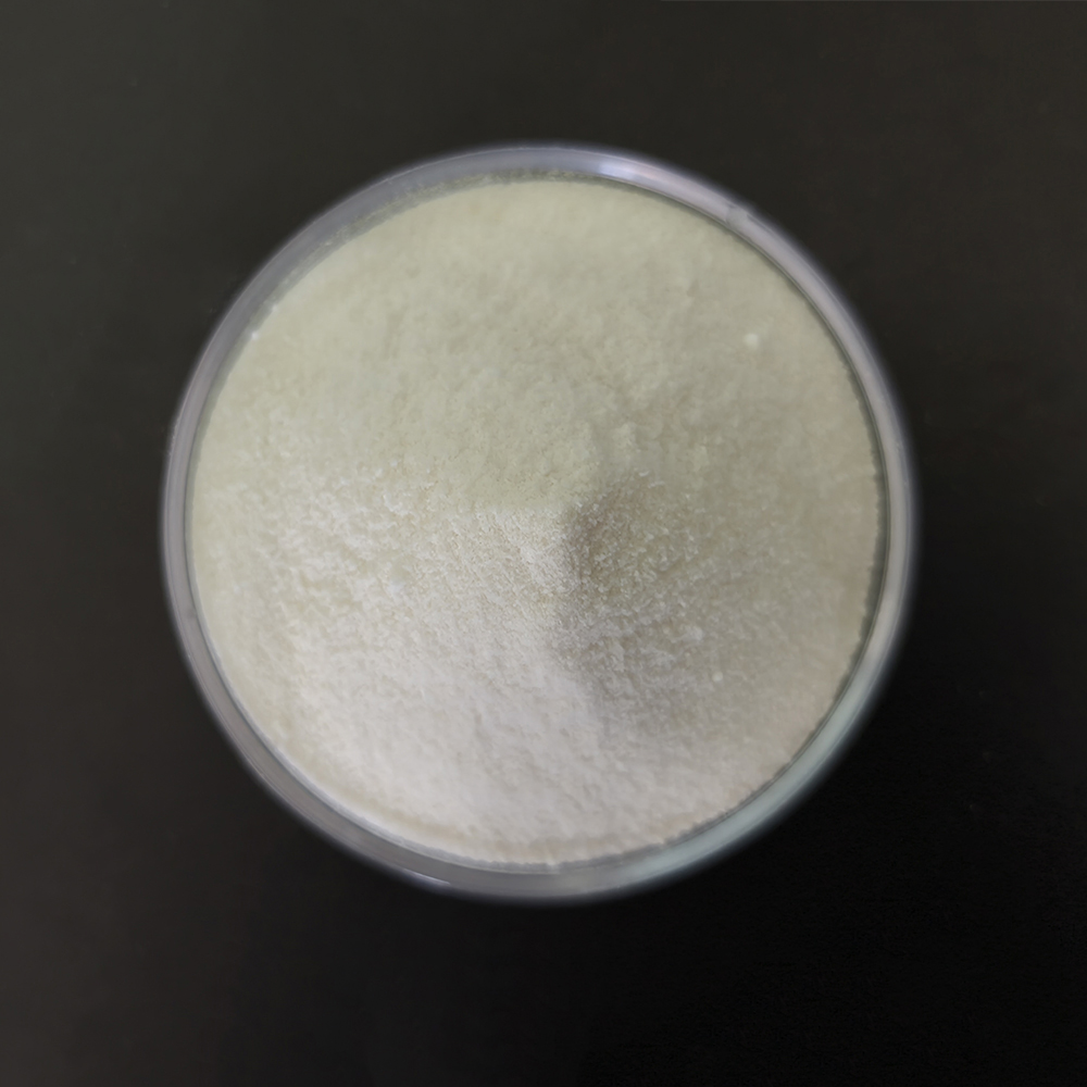 Sodium Stearoyl Lactylate (SSL)