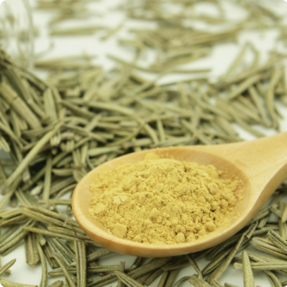 Rosemary Extract