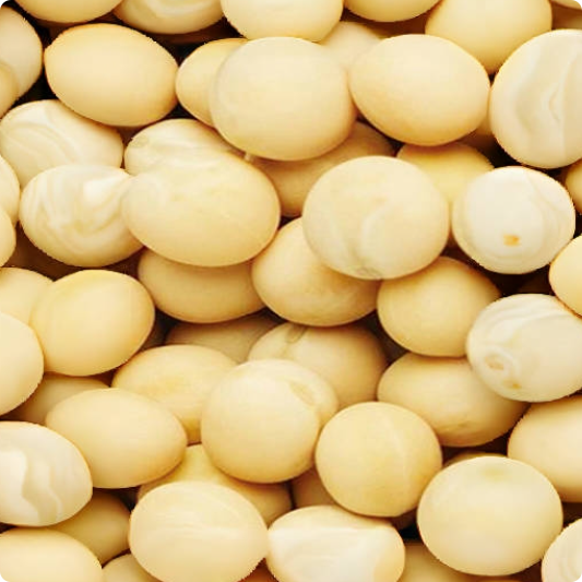 Fava Bean Protein Isolate